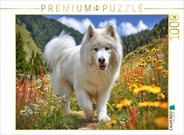 Produktbild: CALVENDO Puzzle Samojede auf der Bergwiese | 1000 Teile Lege-Gr&ouml;&szlig;e 64x48cm Foto-Puzzle f&uuml;r gl&uuml;ckliche Stunden