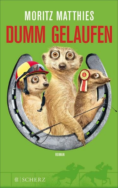 Produktbild: Dumm gelaufen