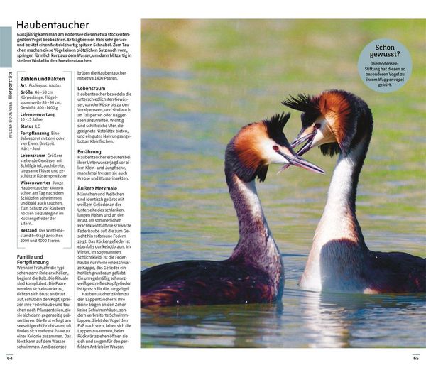 Produktbild: Vis-&agrave;-Vis Reisef&uuml;hrer Bodensee