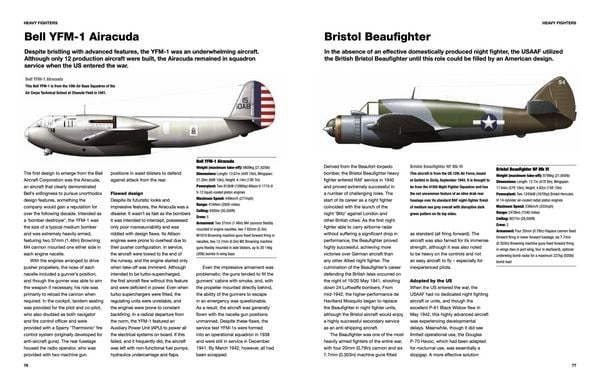 Produktbild: American Fighter Aircraft of World War II