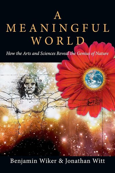 Produktbild: A Meaningful World