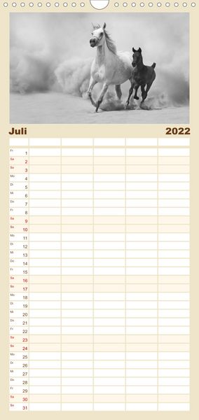 Produktbild: Familienplaner Arabische Pferde (Wandkalender 2022 , 21 cm x 45 cm, hoch)
