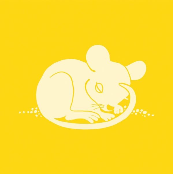 Produktbild: FamilyFlow. Yoga-Memo