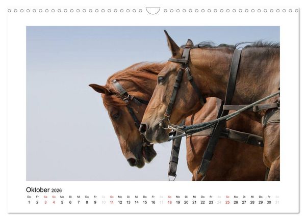 Produktbild: Die sch&ouml;ne Insel Neuwerk (Wandkalender 2026 DIN A3 quer), CALVENDO Monatskalender