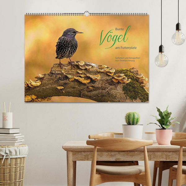 Produktbild: Bunte V&ouml;gel am Futterplatz (Wandkalender 2026 DIN A2 quer), CALVENDO Monatskalender