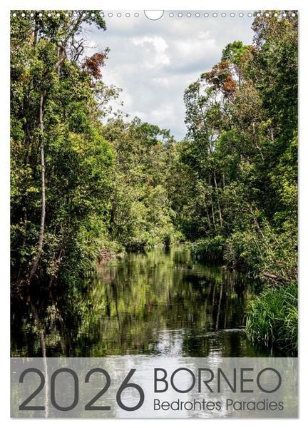 Produktbild: BORNEO Bedrohtes Paradies (Wandkalender 2026 DIN A3 hoch), CALVENDO Monatskalender