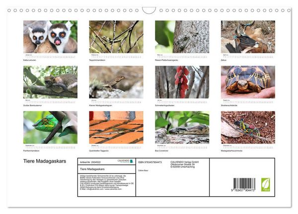 Produktbild: Tiere Madagaskars (Wandkalender 2026 DIN A3 quer), CALVENDO Monatskalender