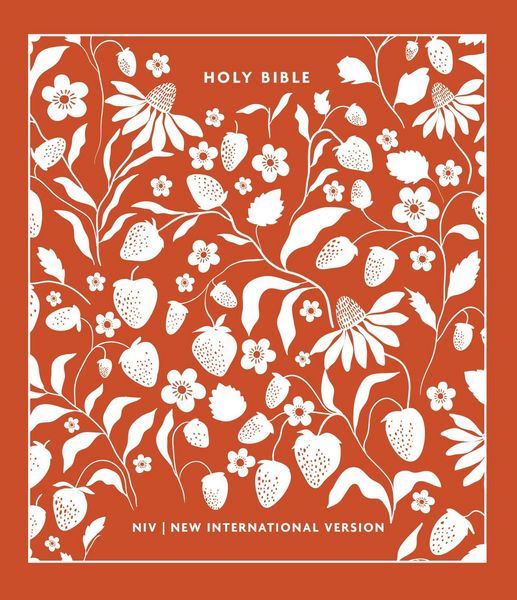 Produktbild: NIV Clothbound Journalling Bible