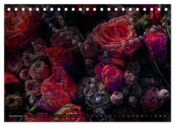 Produktbild: Gothic Rose - Rosen aus dem Garten der Finsternis (Tischkalender 2026 DIN A5 quer), CALVENDO Monatskalender