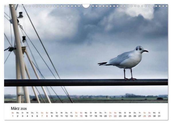 Produktbild: Wieder an der Nordsee (Wandkalender 2026 DIN A3 quer), CALVENDO Monatskalender