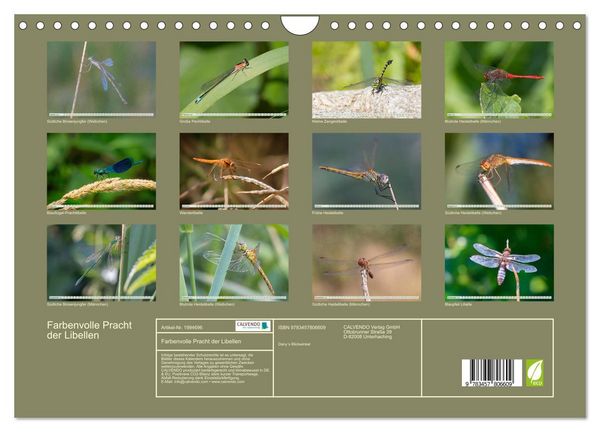 Produktbild: Farbenvolle Pracht der Libellen (Wandkalender 2026 DIN A4 quer), CALVENDO Monatskalender