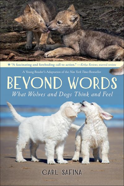Produktbild: Beyond Words: What Wolves and Dogs Think and Feel
