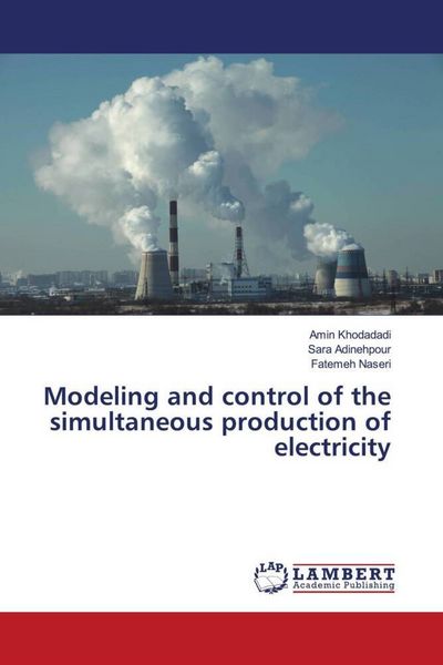 Produktbild: Modeling and control of the simultaneous production of electricity