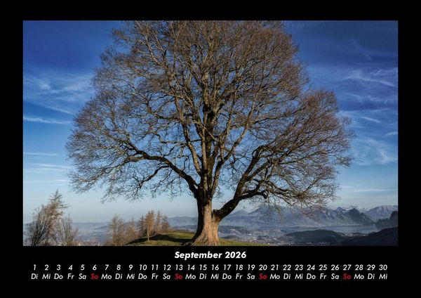 Produktbild: B&auml;ume 2026 Fotokalender DIN A3