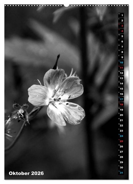 Produktbild: Blumige Graustufen - Schwarz und Wei&szlig; (hochwertiger Premium Wandkalender 2026 DIN A2 hoch), Kunstdruck in Hochglanz