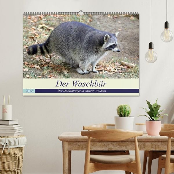 Produktbild: Der Waschb&auml;r - Der Maskentr&auml;ger in unseren W&auml;ldern (Wandkalender 2026 DIN A2 quer), CALVENDO Monatskalender