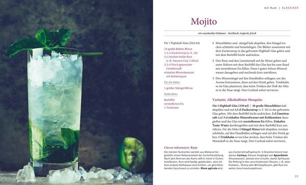 Produktbild: Cocktails selbst gemixt