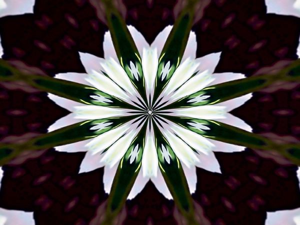 Produktbild: CALVENDO Puzzle Blume des Lebens | 1000 Teile Lege-Gr&ouml;&szlig;e 64x48cm Foto-Puzzle f&uuml;r gl&uuml;ckliche Stunden