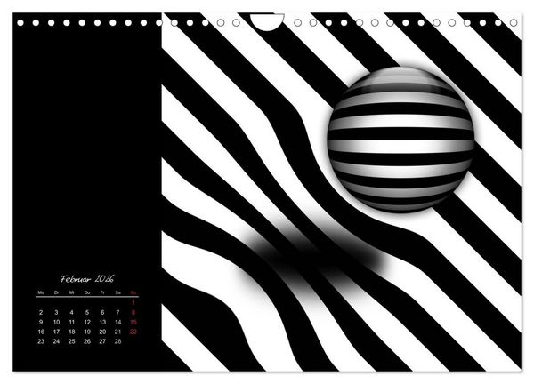 Produktbild: Schwarz trifft Wei&szlig; (Wandkalender 2026 DIN A4 quer), CALVENDO Monatskalender