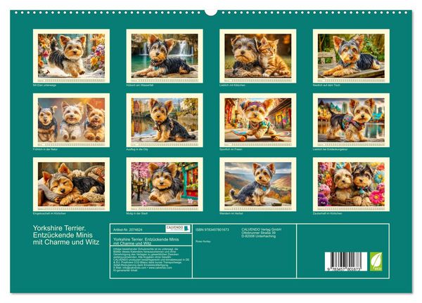 Produktbild: Yorkshire Terrier. Entz&uuml;ckende Minis mit Charme und Witz (hochwertiger Premium Wandkalender 2026 DIN A2 quer), Kunstdruck in Hochglanz