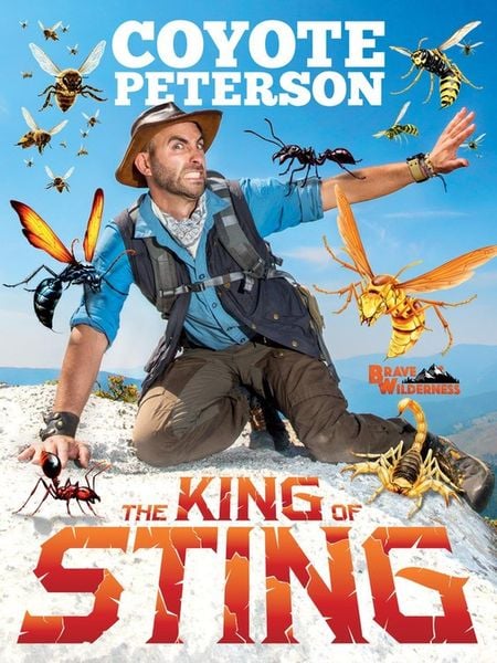 Produktbild: The King of Sting