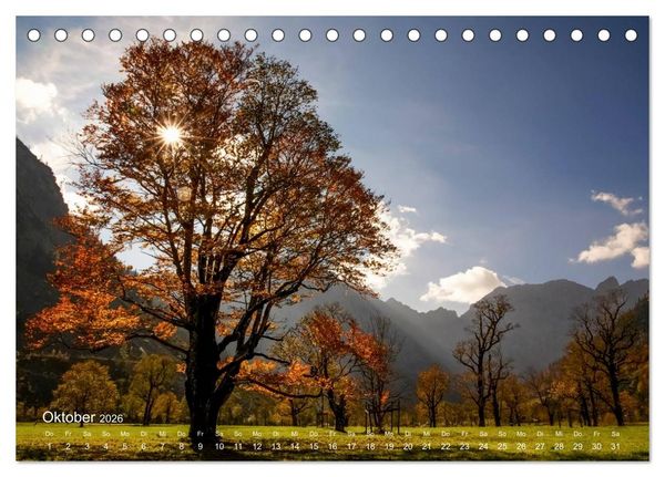 Produktbild: Astrein! - Der Baumkalender 2026 (Tischkalender 2026 DIN A5 quer), CALVENDO Monatskalender