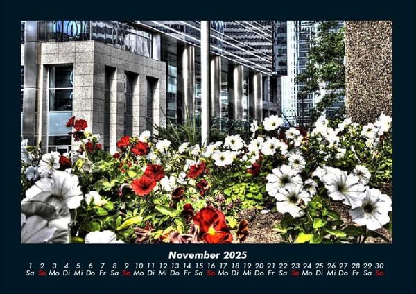 Produktbild: Blumentr&auml;ume 2025 Fotokalender DIN A4