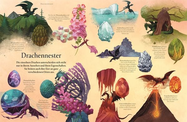 Produktbild: Magische Welt der Drachen
