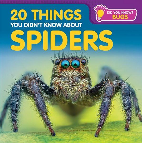 Produktbild: 20 Things You Didn't Know about Spiders