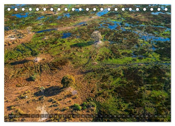 Produktbild: Botswana &ndash; Landschaft und Tierwelt (Tischkalender 2026 DIN A5 quer), CALVENDO Monatskalender