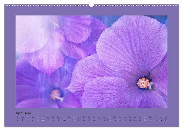 Produktbild: 12 Farben (hochwertiger Premium Wandkalender 2026 DIN A2 quer), Kunstdruck in Hochglanz