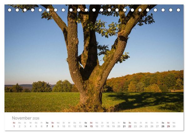 Produktbild: Wundersch&ouml;ne B&auml;ume im Sauerland (Tischkalender 2026 DIN A5 quer), CALVENDO Monatskalender