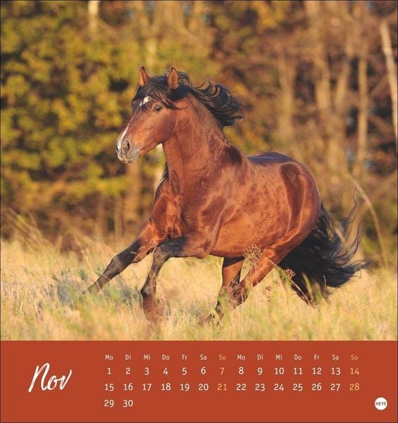 Produktbild: Pferde Postkartenkalender 2027 - Starke Freunde