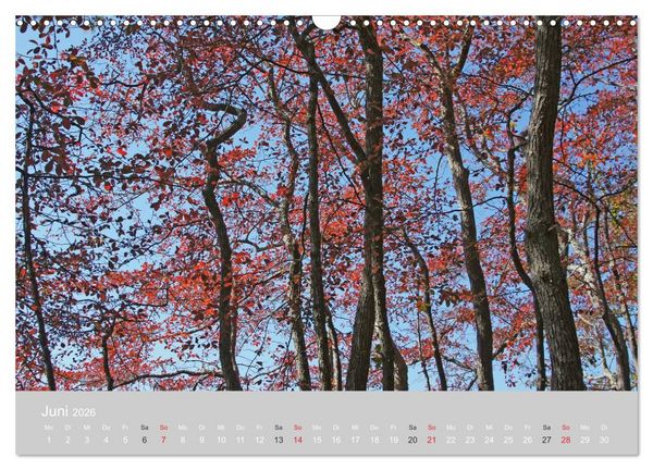 Produktbild: Indian Summer in New England (Wandkalender 2026 DIN A3 quer), CALVENDO Monatskalender