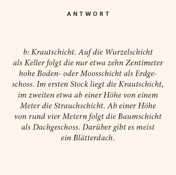 Produktbild: Wald-Quiz