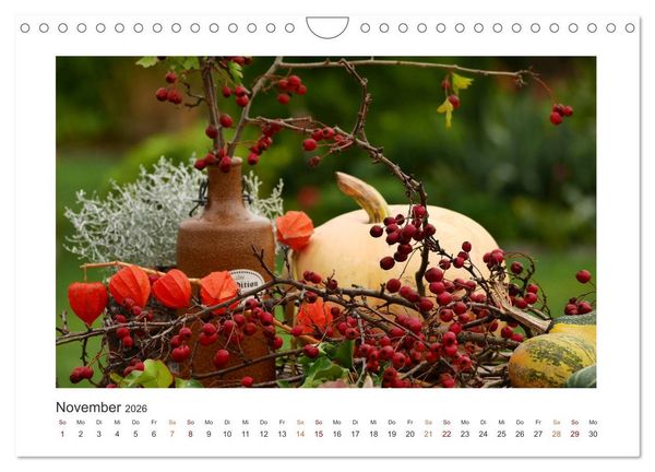 Produktbild: Blumen, Bl&uuml;ten, Dekoliebe (Wandkalender 2026 DIN A4 quer), CALVENDO Monatskalender