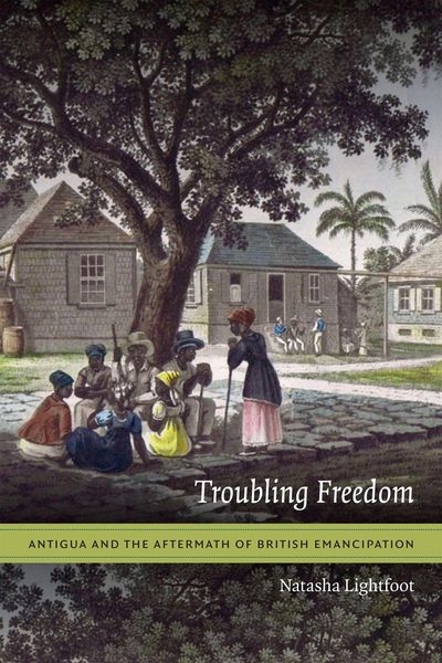 Produktbild: Troubling Freedom