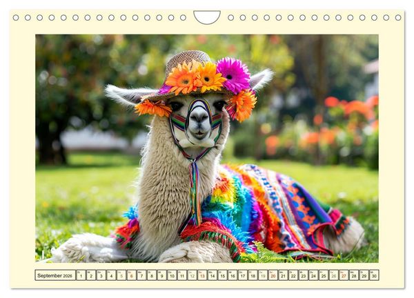 Produktbild: Lamas auf Tour. Perus flauschige Fashion-Ikonen (Wandkalender 2026 DIN A4 quer), CALVENDO Monatskalender