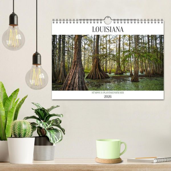 Produktbild: Louisiana - S&uuml;mpfe und Plantagenh&auml;user (Wandkalender 2026 DIN A4 quer), CALVENDO Monatskalender