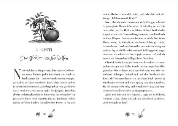 Produktbild: Ruby Fairygale (Band 5) - Der verbotene Zauber