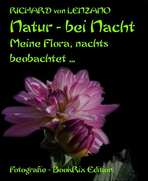 Produktbild: Natur - bei Nacht