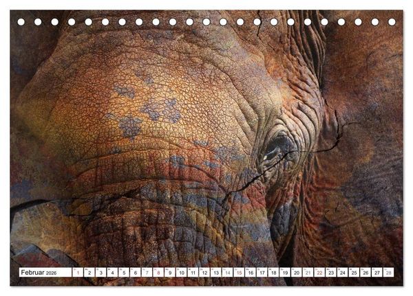Produktbild: Emotionale Momente: African Dreams (Tischkalender 2026 DIN A5 quer), CALVENDO Monatskalender
