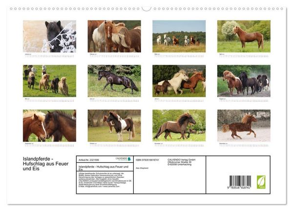 Produktbild: Islandpferde - Hufschlag aus Feuer und Eis (hochwertiger Premium Wandkalender 2027 DIN A2 quer), Kunstdruck in Hochglanz