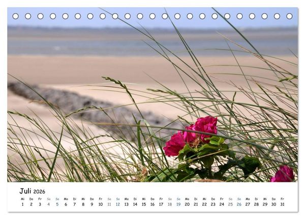 Produktbild: F&ouml;hr und Halligwelt 2026 (Tischkalender 2026 DIN A5 quer), CALVENDO Monatskalender
