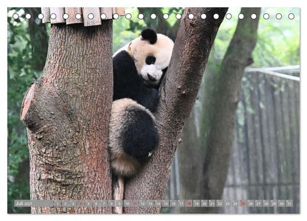 Produktbild: Erlebnis China (Tischkalender 2027 DIN A5 quer), CALVENDO Monatskalender