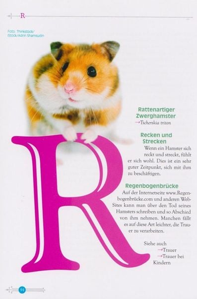 Produktbild: Das kleine Hamsterlexikon