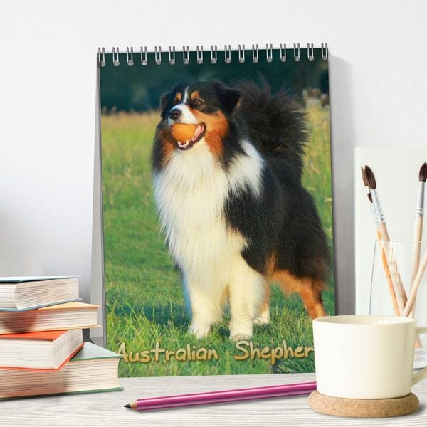 Produktbild: Australian Shepherd (Tischkalender 2026 DIN A5 hoch), CALVENDO Monatskalender