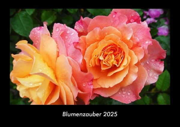 Blumenzauber 2025 Fotokalender DIN A3