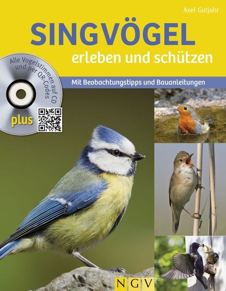 Singvögel erleben und schützen