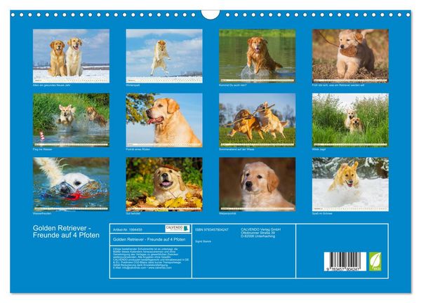 Produktbild: Golden Retriever - Freunde auf 4 Pfoten (Wandkalender 2026 DIN A3 quer), CALVENDO Monatskalender